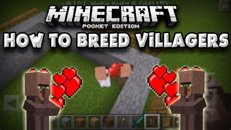 villager breeding|how to let villagers breed.